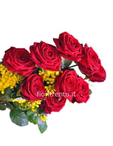 Rose rosse lunghe con mimosa