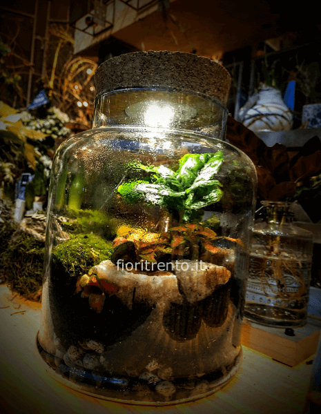 terrario steampunk con luce led